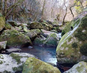 Cascate di Chia (1)
