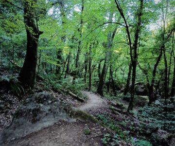 Foto Parco delle Cascate di Chia (3)