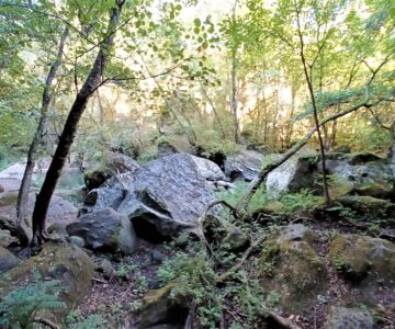Foto Parco delle Cascate di Chia (6)