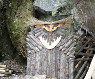 Il Gufo Del Parco