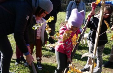 Festa dell’albero 2024 3